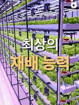 인스타그램 게시물: 최상의 재배 능력