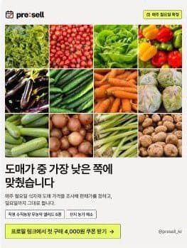 프리셀 게시물: 도매가 중 가장 낮은 쪽에 맞췄습니다